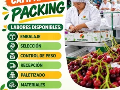 Embalador para Campaña de Packing en Ica