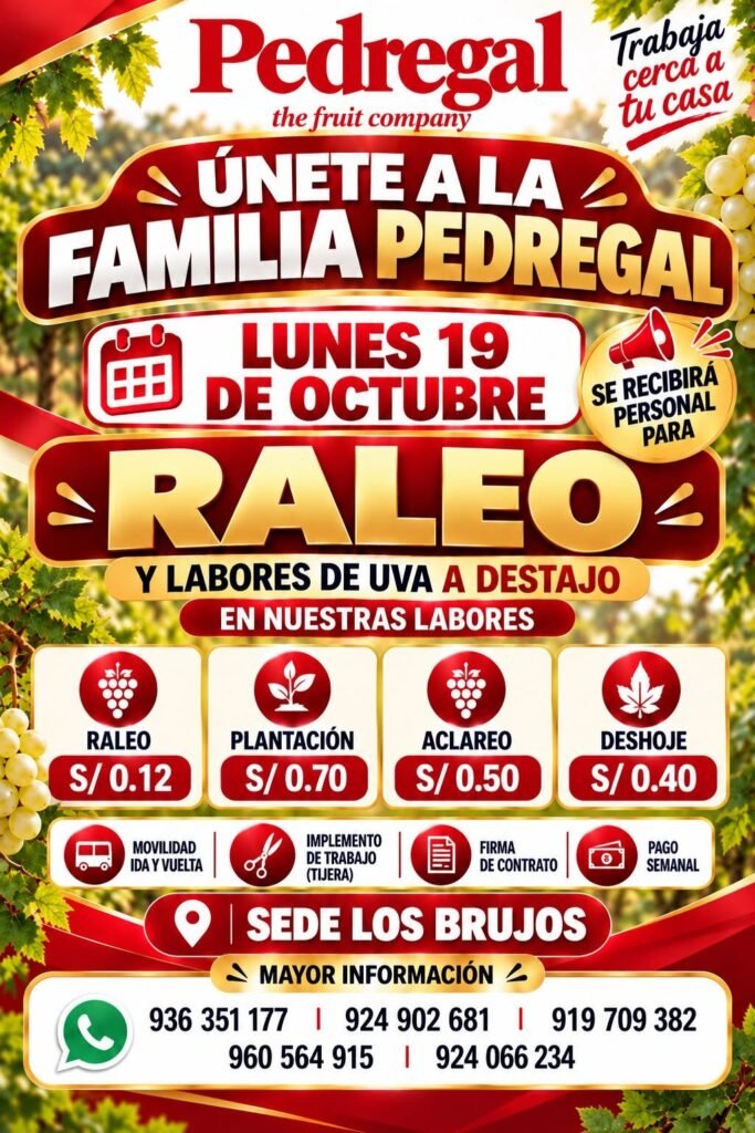 Trabajadores para Raleo y Cultivo de Uvas en Los Brujos - Imagen 1