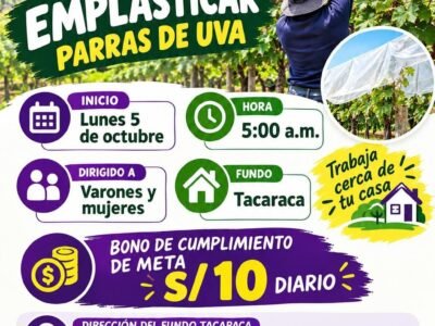 Personal para Emplasticado de Parras de Uva en Tacaraca, Ica