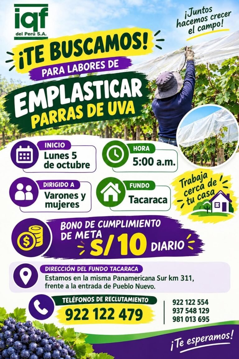 Personal para Emplasticado de Parras de Uva en Tacaraca, Ica