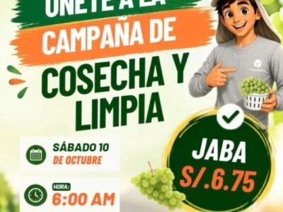 Trabajadores para Campaña de Cosecha y Limpieza de uva