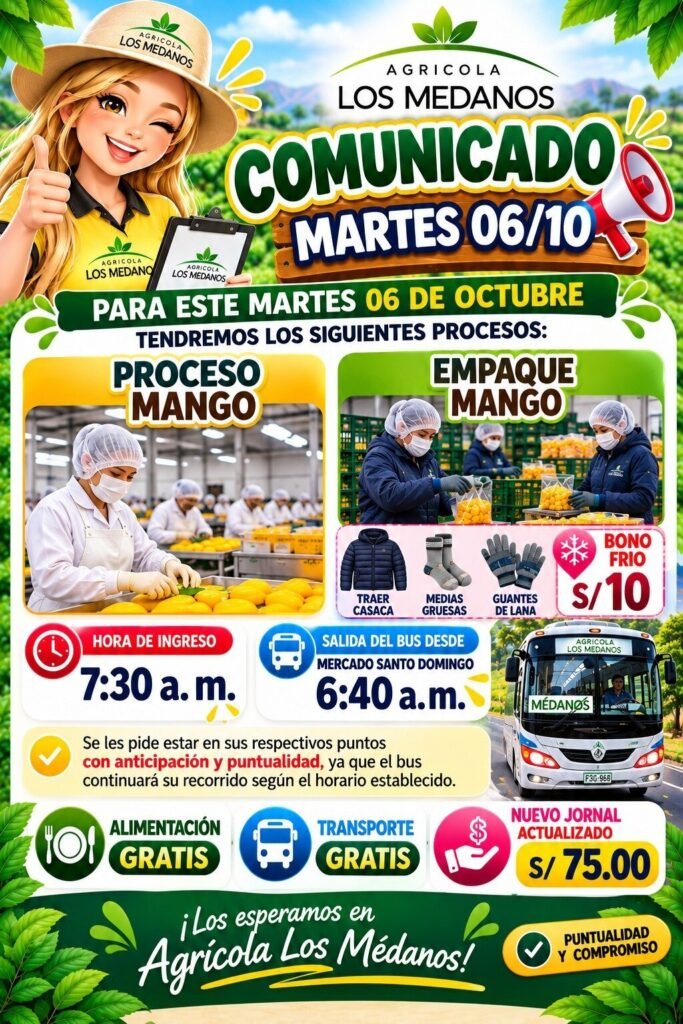 convocatoria de trabajo - Imagen 3