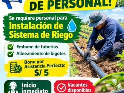 Instalación de Sistema de Riego – Proagro, Fundo San Jorge (Ica)