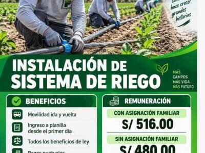 INSTALACIÓN DE SISTEMA DE RIEGO – PROAGRO FUNDO YANACA (NAZCA)