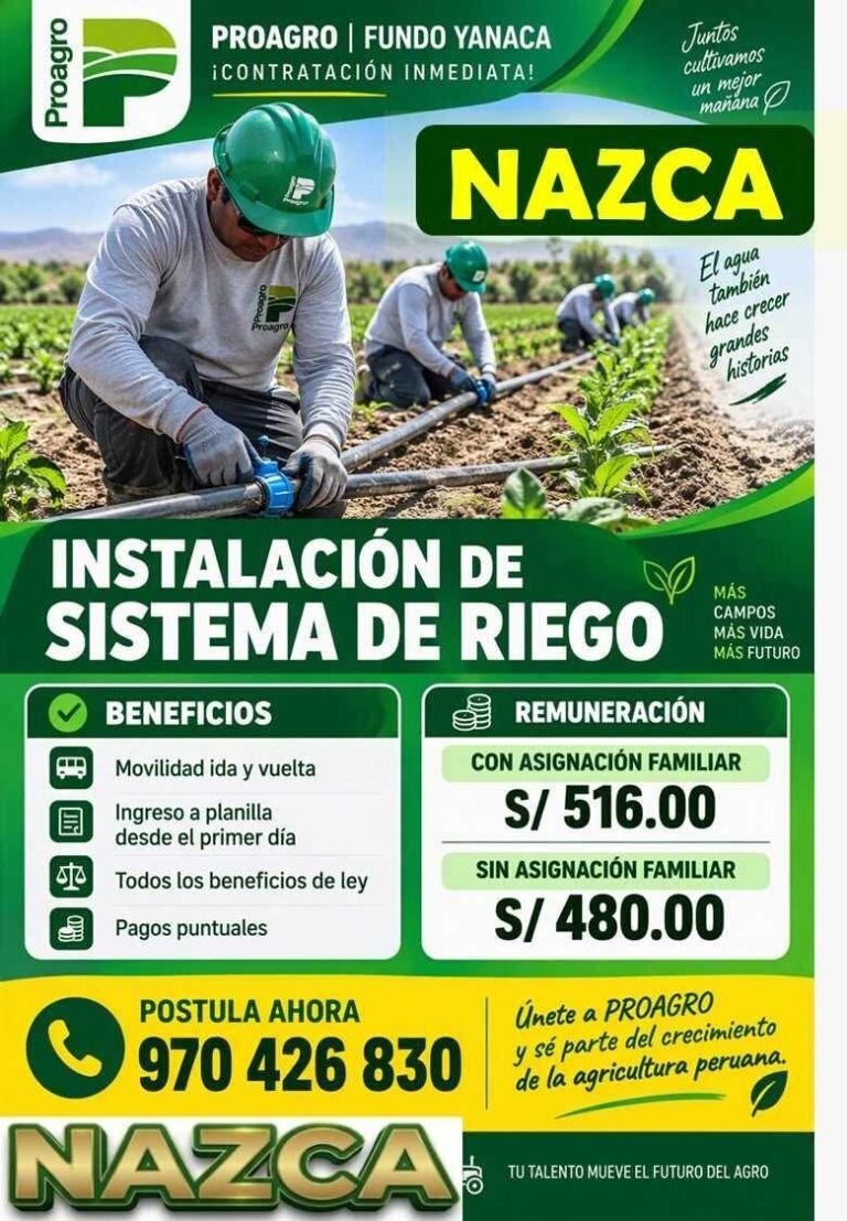 INSTALACIÓN DE SISTEMA DE RIEGO – PROAGRO FUNDO YANACA (NAZCA)