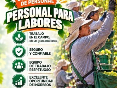 Convocatoria de Personal – Agrícola Procom y Talsa Grape Farms (Labores, Deshoje y Guiado) – Ica