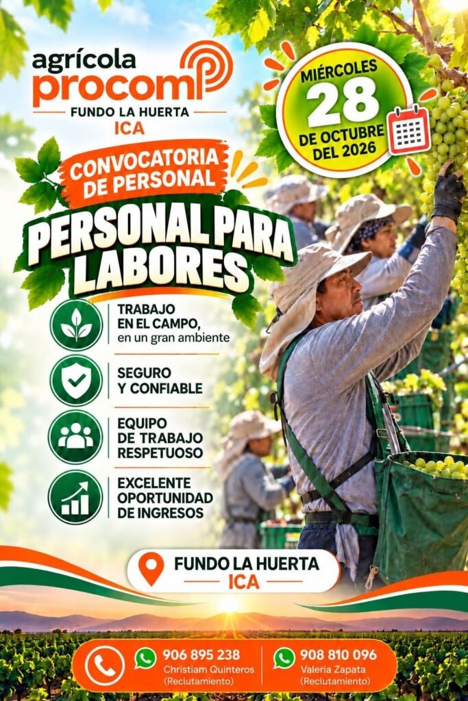 Convocatoria de Personal – Agrícola Procom y Talsa Grape Farms (Labores, Deshoje y Guiado) – Ica - Imagen 1