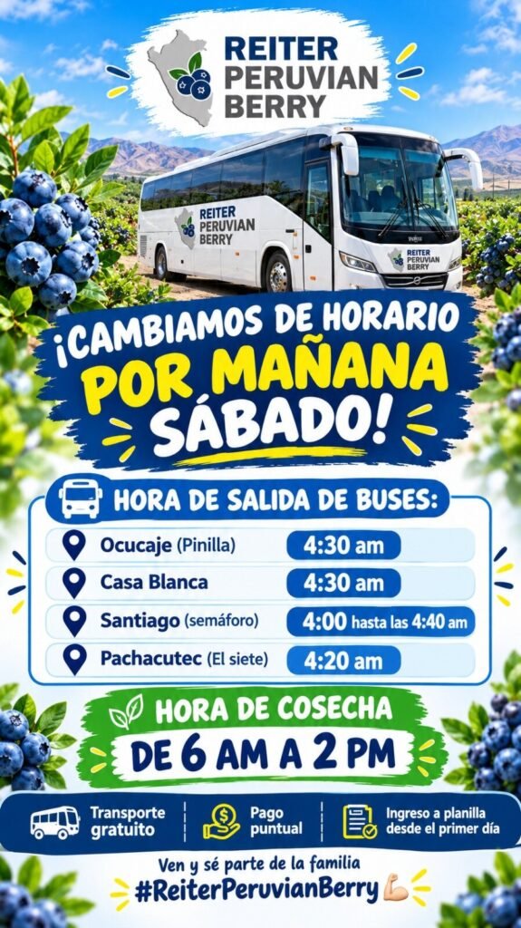 COSECHA DE ARÁNDANO – REITER PERUVIAN BERRY (ICA) - Imagen 1