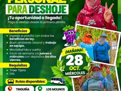 PERSONAL PARA DESHOJE – AGRÍCOLA RIACHUELO – LOS MOLINOS, ICA