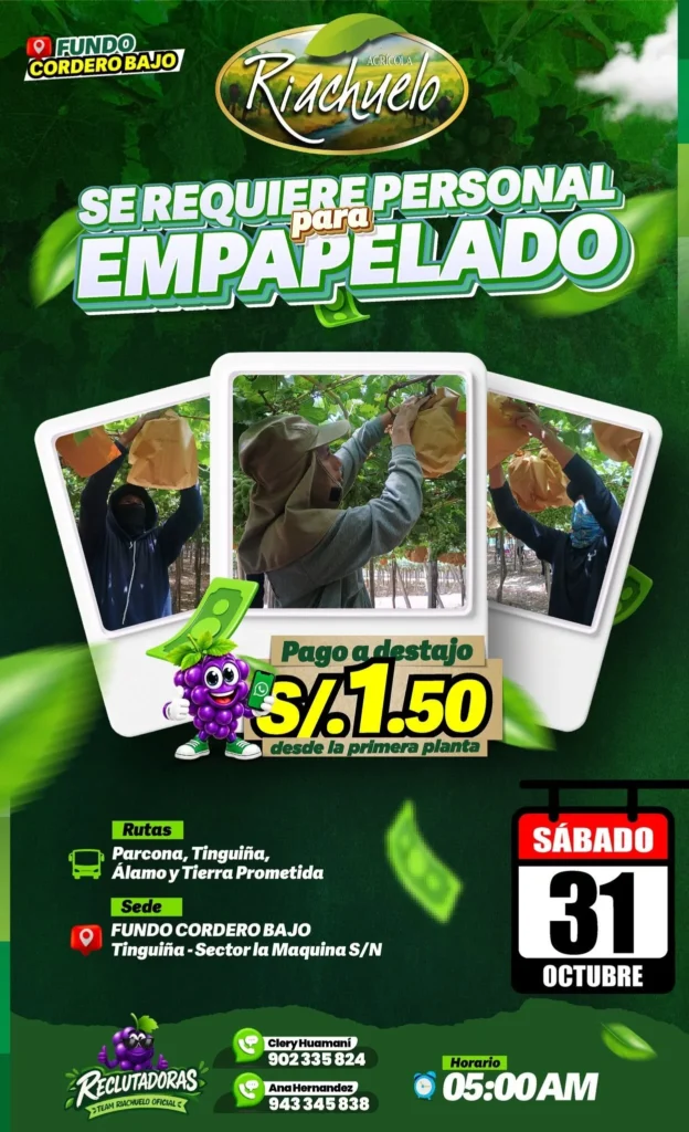 Empapelado en Agricola Riachuelo - Imagen 2