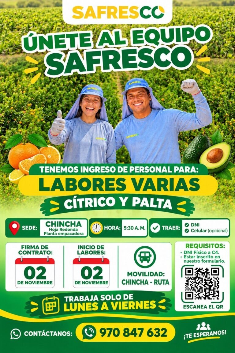 LABORES VARIAS CÍTRICO Y PALTA – SAFRESCO (CHINCHA)