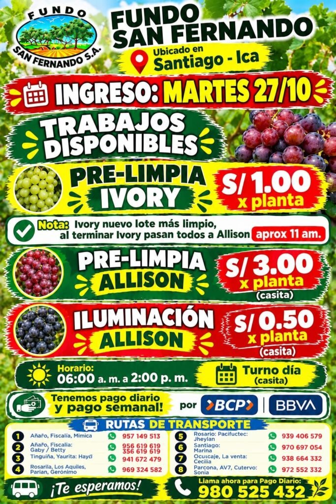 DESTAJO VID Y LABORES JORNAL – FUNDO SAN FERNANDO – SANTIAGO, ICA - Imagen 1