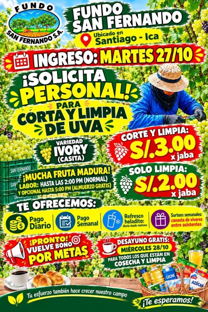 DESTAJO VID Y LABORES JORNAL – FUNDO SAN FERNANDO – SANTIAGO, ICA - Imagen 2