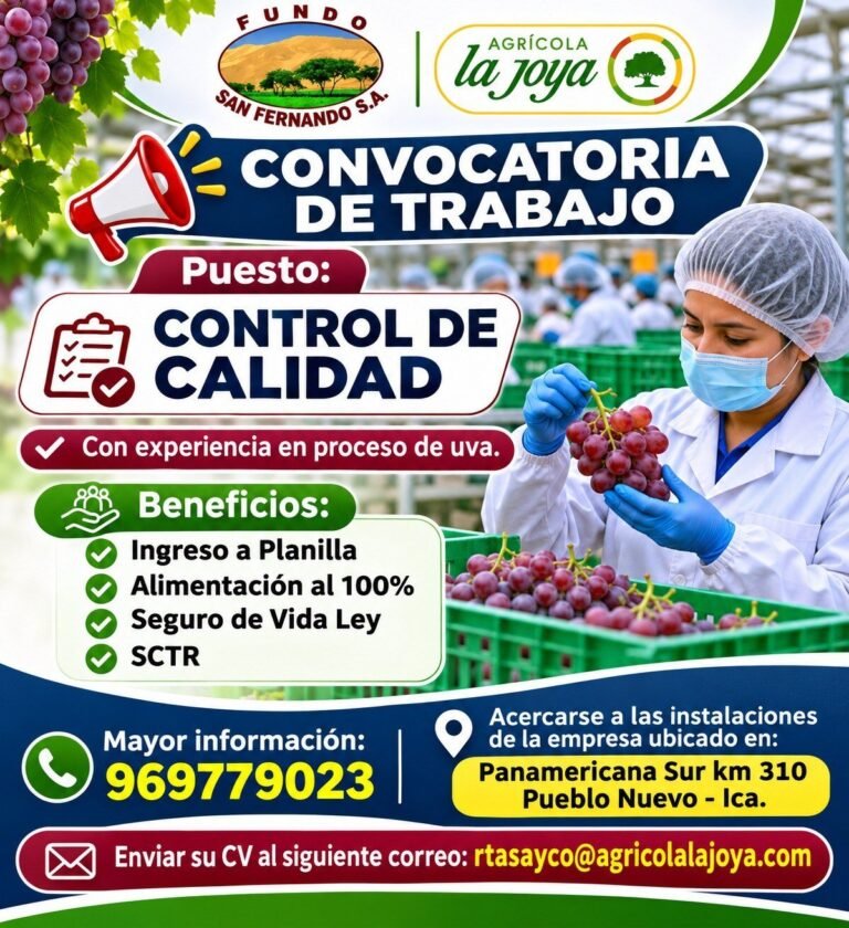 CONTROL DE CALIDAD – FUNDO SAN FERNANDO (PUEBLO NUEVO, ICA)