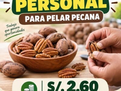 Personal para pelar pecana – Fundo San Jorge