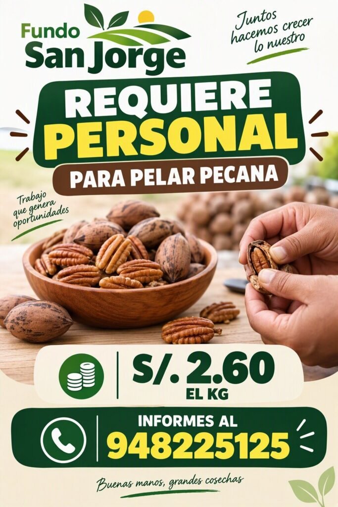 Personal para pelar pecana – Fundo San Jorge - Imagen 1