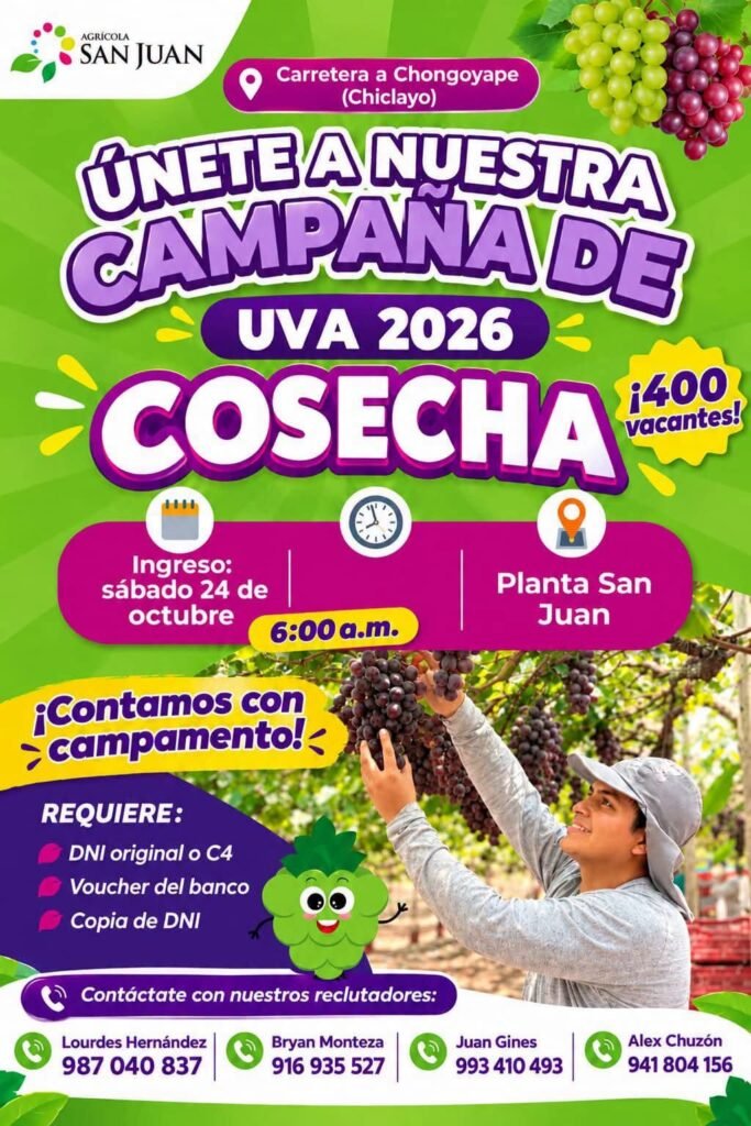 Cosecha de Uva 2026 – Agrícola San Juan, 400 vacantes - Imagen 1