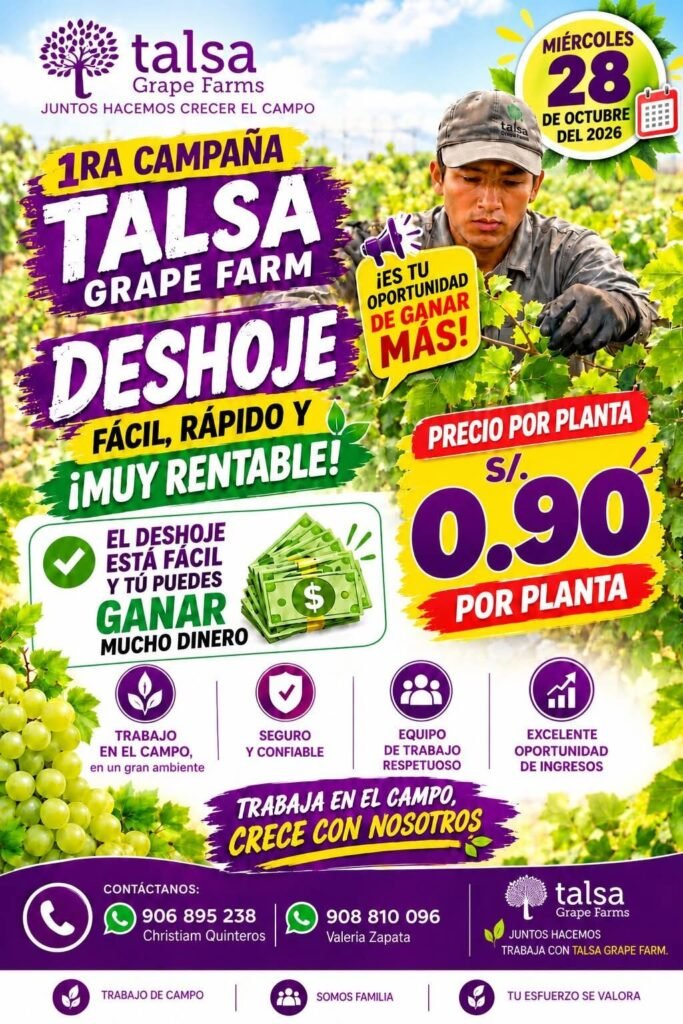 Convocatoria de Personal – Agrícola Procom y Talsa Grape Farms (Labores, Deshoje y Guiado) – Ica - Imagen 2