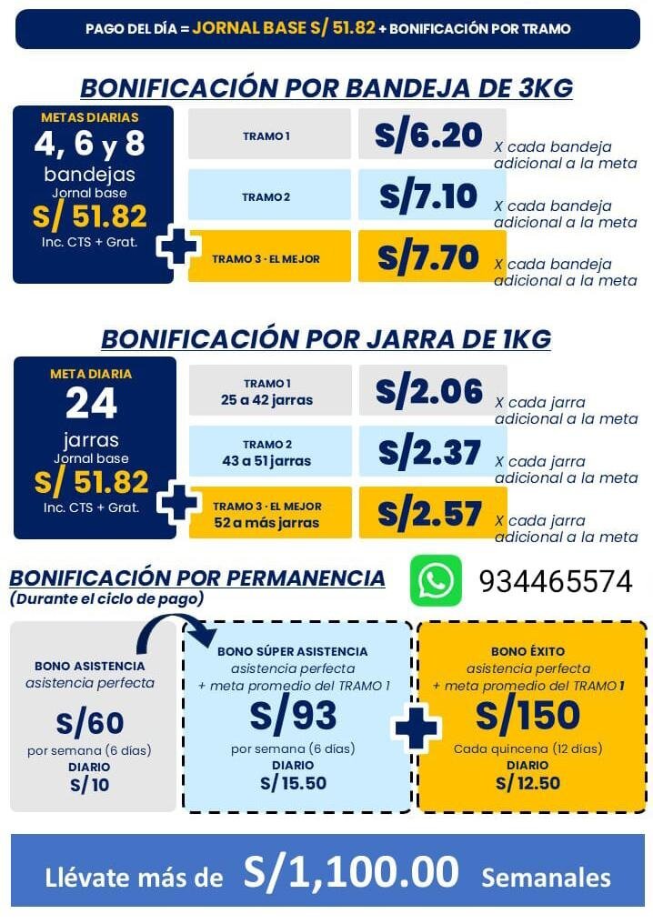 Cosecha de arándanos y labores de campo — Grupo Vanguard - Imagen 1