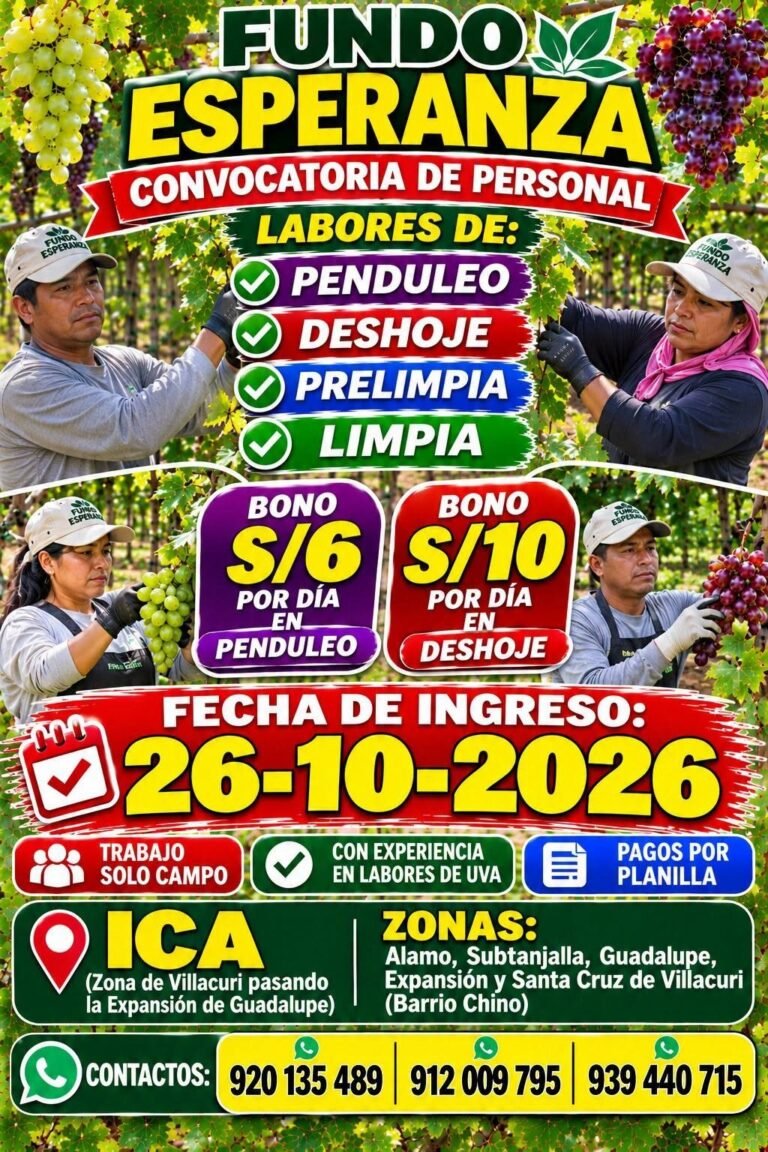 Fundo Esperanza – Convocatoria: Penduleo, Deshoje, Prelimpia y Limpia en uva (Villacurí, Ica)
