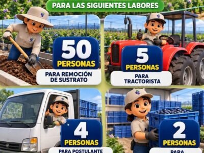 Requiere Personal – Remoción de Sustrato, Tractoristas, Conductores y Estibadores (Grupo Vanguard Pisco)
