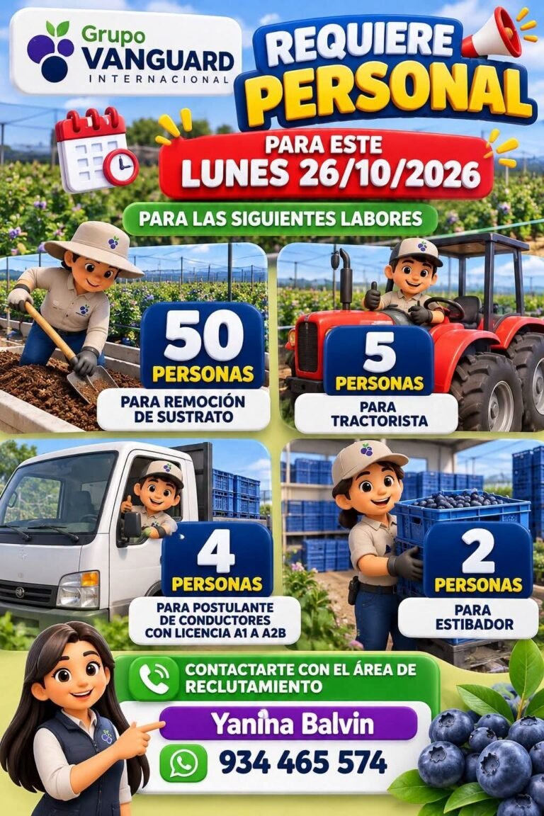 Requiere Personal – Remoción de Sustrato, Tractoristas, Conductores y Estibadores (Grupo Vanguard Pisco)