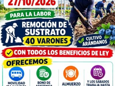Remoción de Sustrato – 40 Varones (Cultivo de Arándanos)