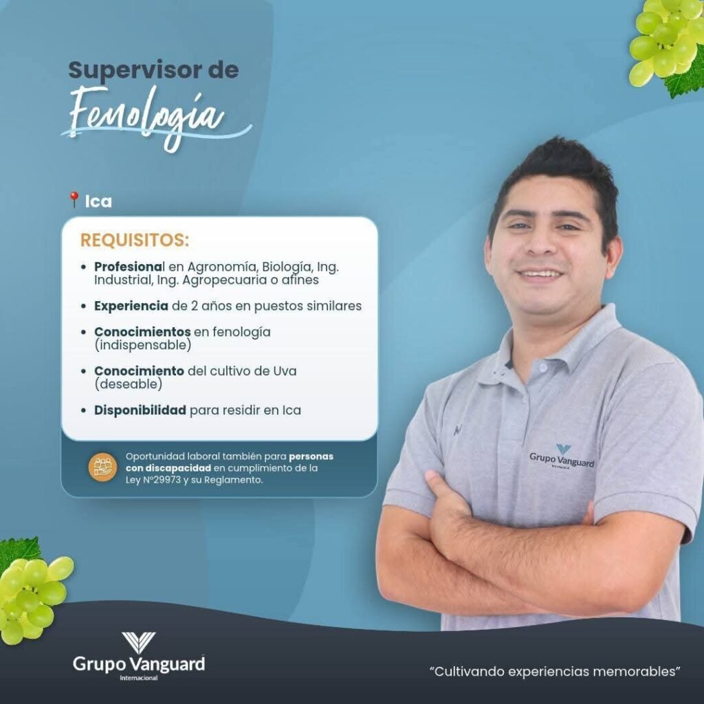 ANALISTA Y SUPERVISOR DE FENOLOGÍA, SUPERVISOR DE POZOS Y TÉCNICO JR. – GRUPO VANGUARD (ICA) - Imagen 2