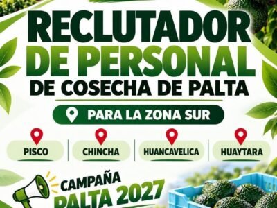 Reclutador de Personal de Cosecha de Palta – Campaña 2027 – Westfalia Fruit