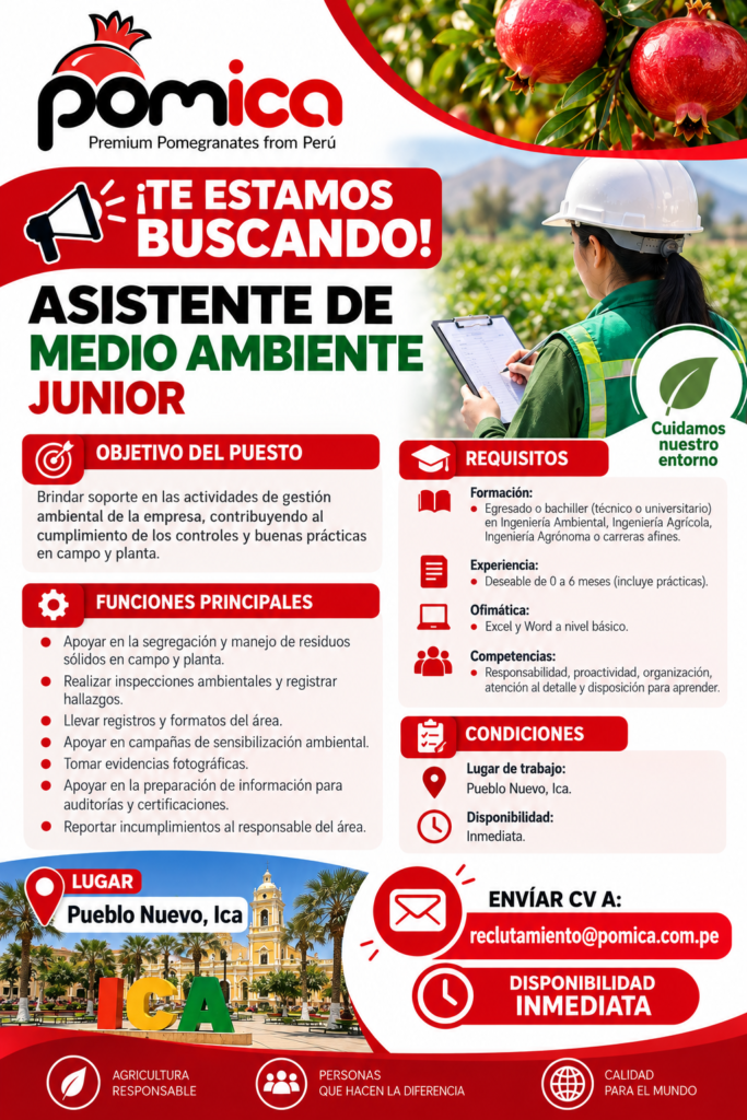 🌱 ASISTENTE DE MEDIO AMBIENTE JUNIOR - Imagen 1